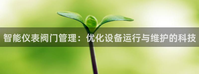新宝gg工资