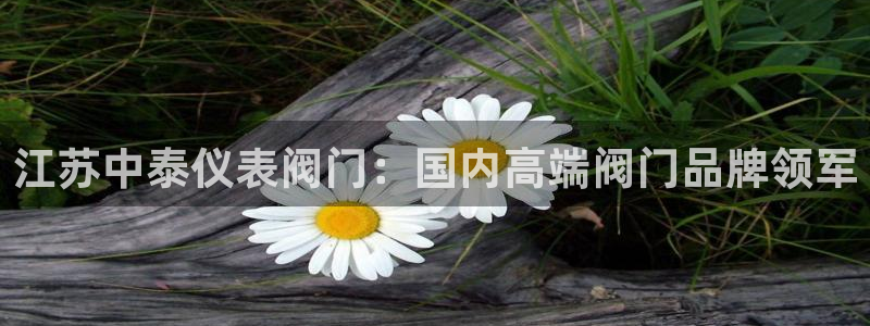 新宝gg登录新