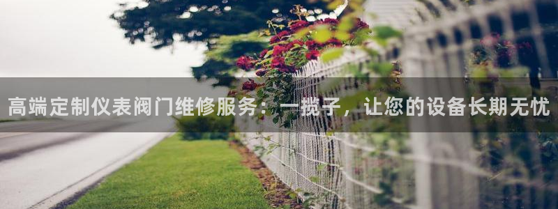 新宝GG上级
