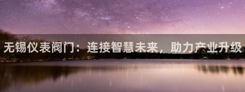 新宝gg登录页面