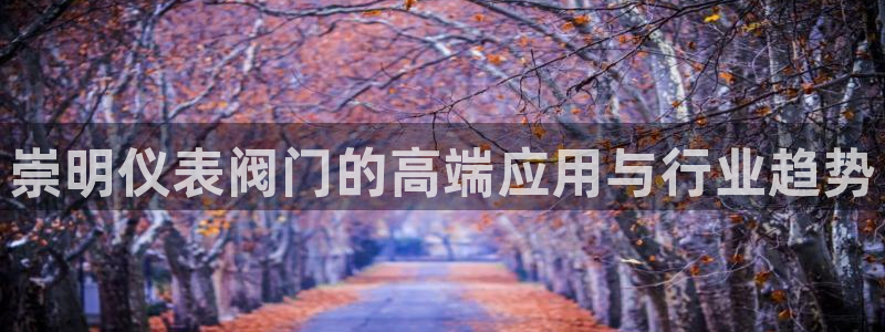 新宝GG都有哪些计划