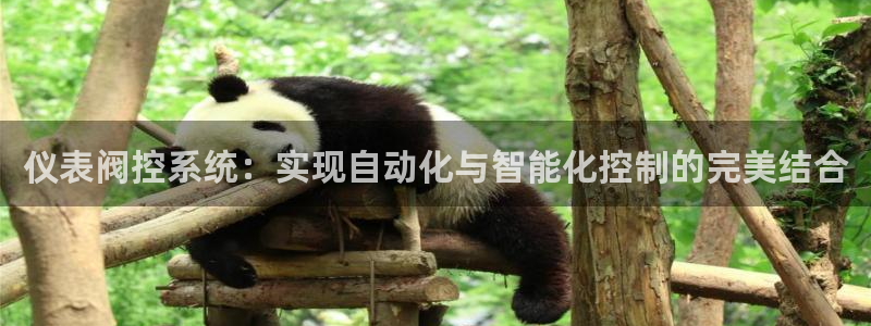 新宝gg娱乐注册-全芏网