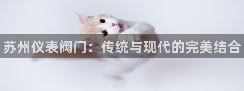 新宝gg登录平台