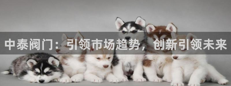 新宝GG手机客户端