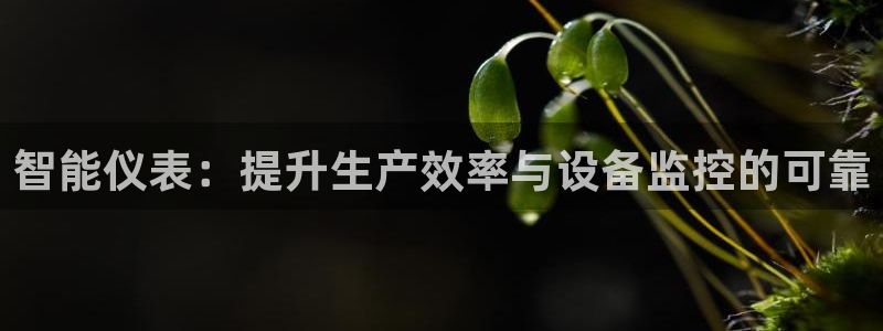 新宝gg入口网址