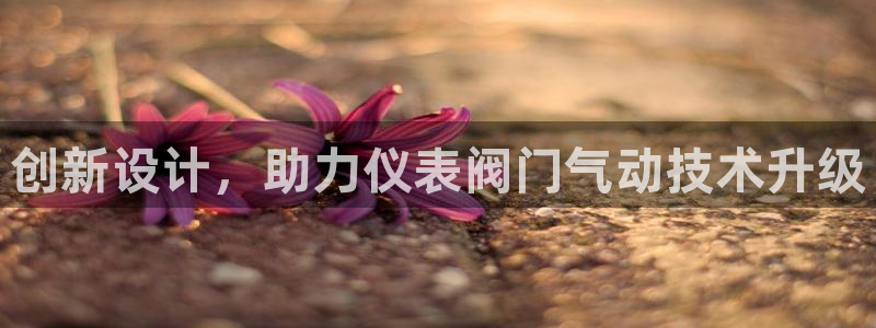 新宝gg 登录页面