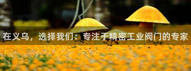 新宝gg咨询55312