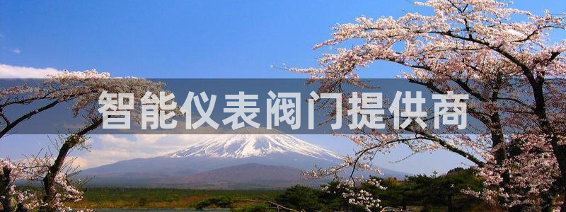 新宝gg平台下载安装