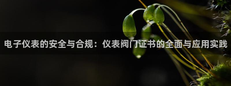 新宝gg平台gg登录gg网址