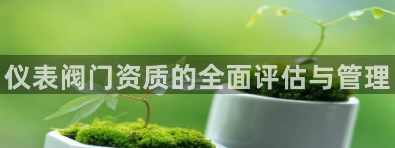 新宝gg好吗