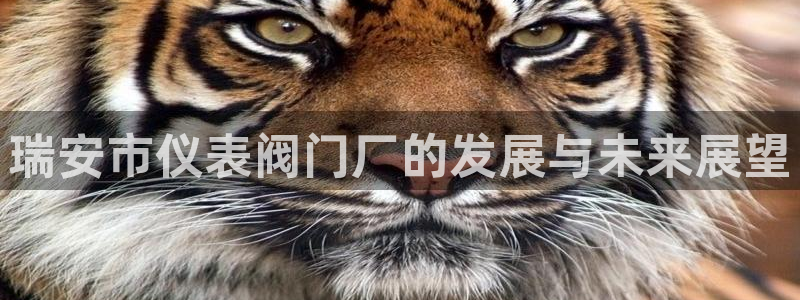 新宝gg直属上级