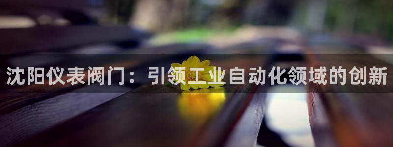 谁有新宝GG