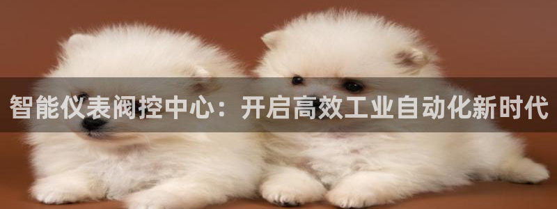 新宝GG之家