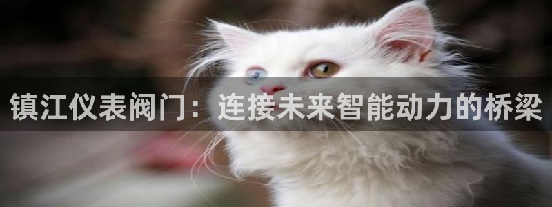 娱乐新宝GG