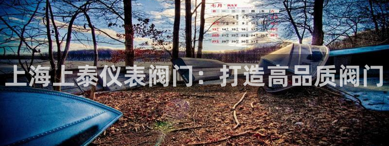 新宝gg代理条件