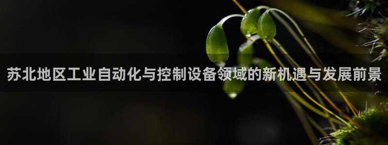 新宝gg娱乐客户端下载