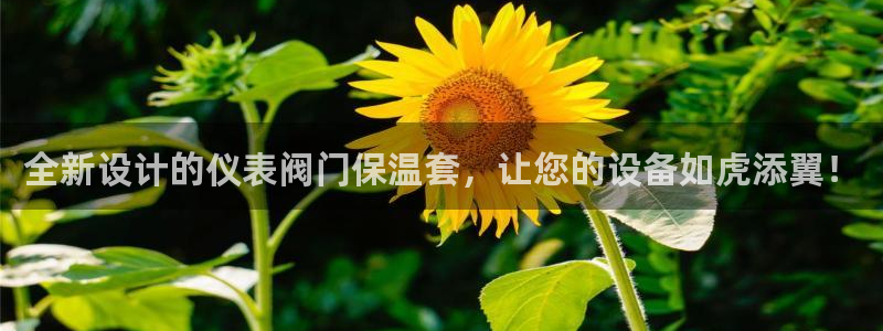 新宝gg正规
