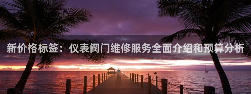 新宝gg返点1956是多少