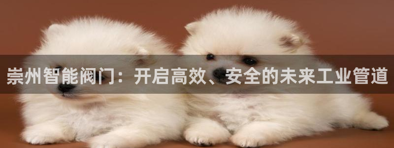 新宝gg6娱乐注册网址