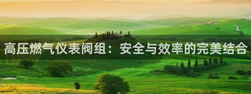 新宝gg 奇迹