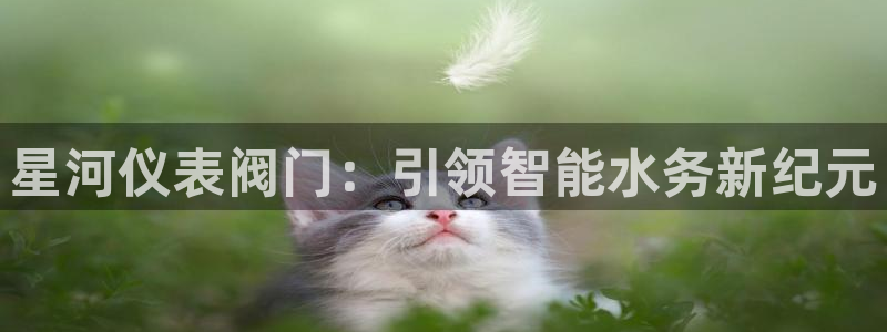 新宝gg帐号注册