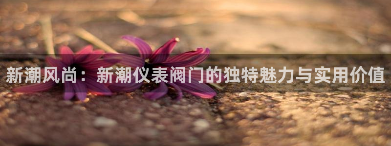 新宝gg娱乐首页