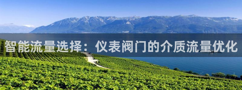 新宝gg首页平台