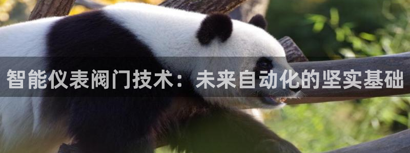 新宝gg娱乐登录地址