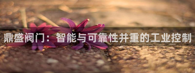 新宝六与新宝gg