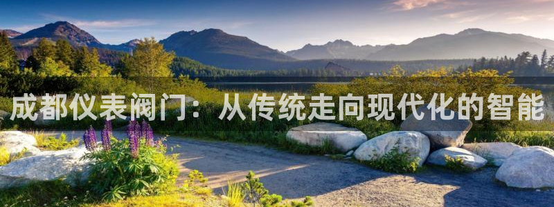 新宝 gg 登录注册