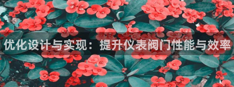 新宝gg样