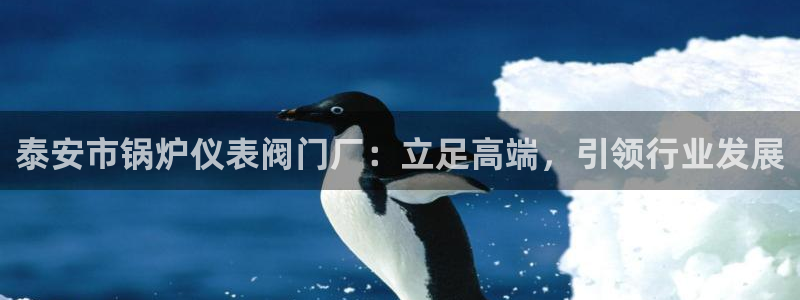 新宝gg平台登录