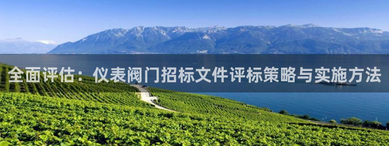 新宝gg登录链接