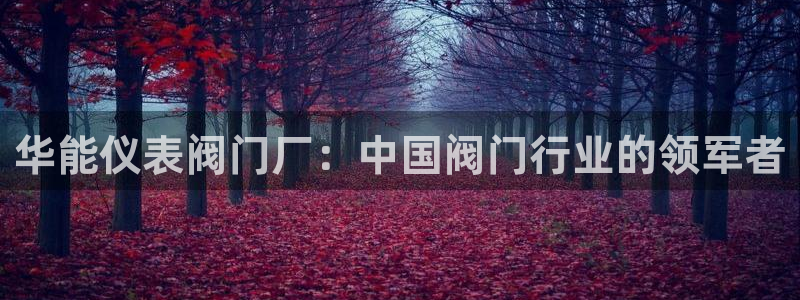 新宝gg dengludizhi