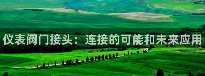 新宝gg   创造奇迹