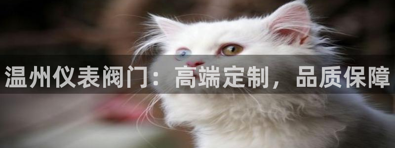 新宝gg挂机软件下载