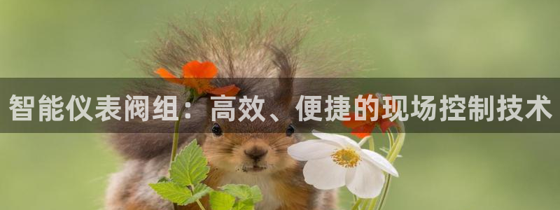 新宝gg手机注册官网