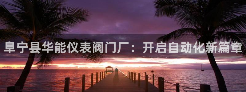 新宝gg账号