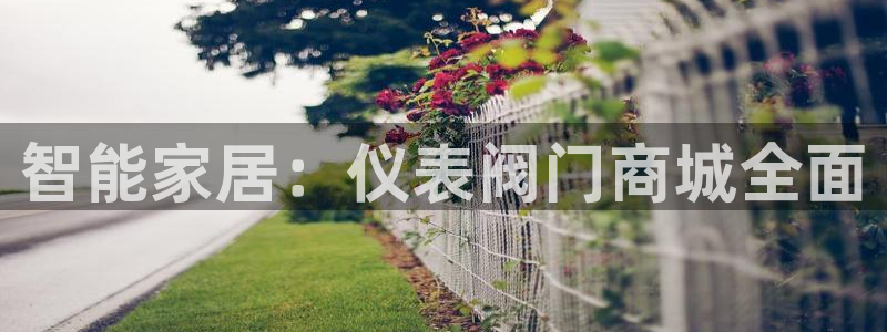 新宝gg如何代理