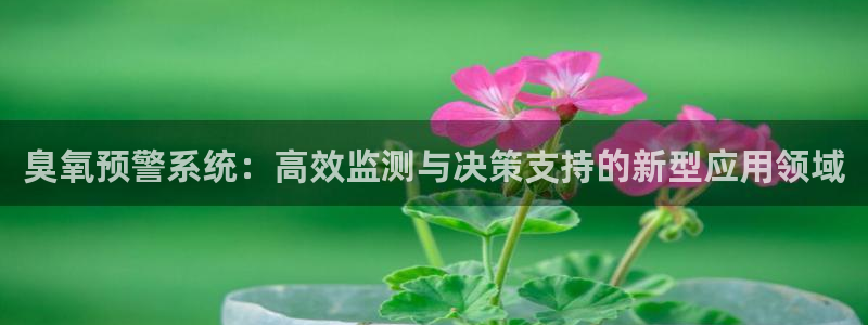 新宝gg主页