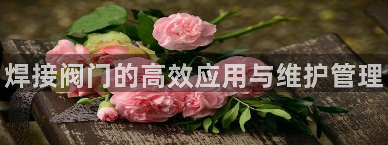 新宝gg娱乐登录地址