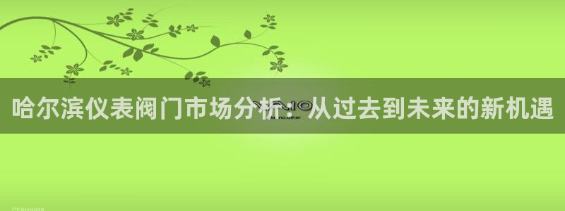 新宝gg重