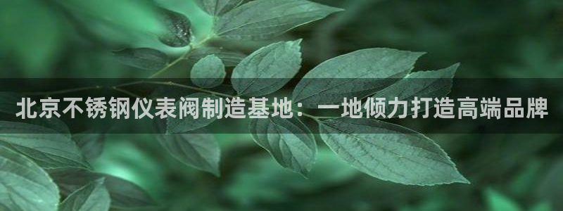 新宝一GG