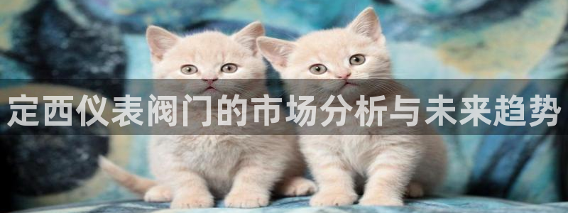 新宝gg如何注册登录