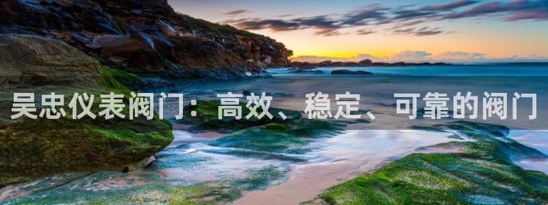 新宝哈哈gg