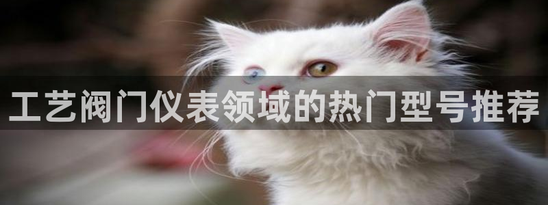 新宝gg充值