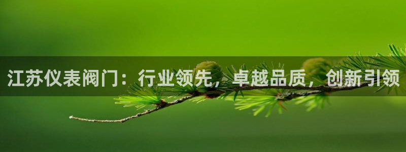 旧版新宝GG