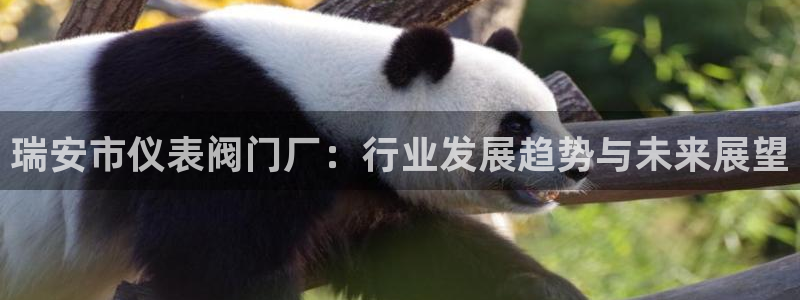 新宝gg官方注册找上级